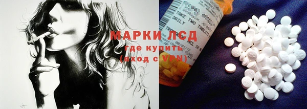 мдпв Елабуга