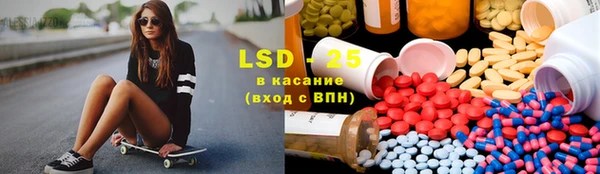 мдпв Елабуга