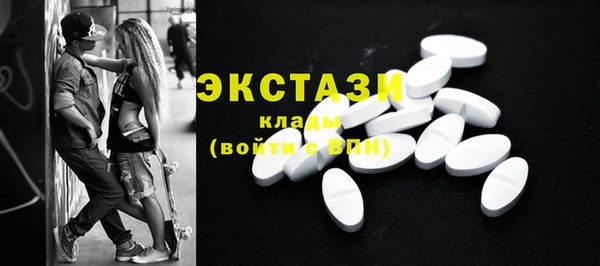 мдпв Елабуга