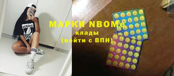 мдпв Елабуга