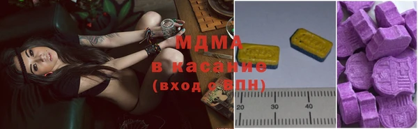 мдпв Елабуга
