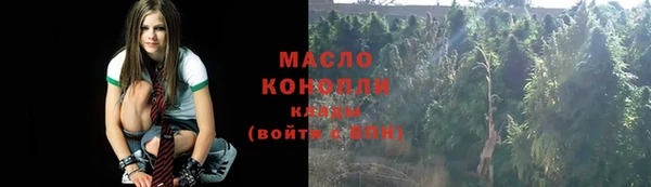 мдпв Елабуга
