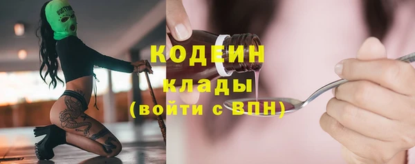 мдпв Елабуга
