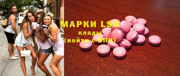 мдпв Елабуга