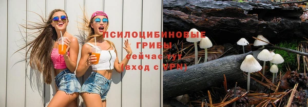 mix Ельня