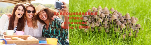 mix Ельня