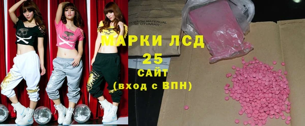 мдпв Елабуга