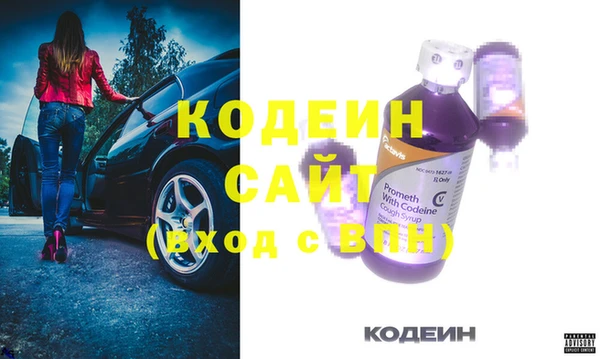 мдпв Елабуга