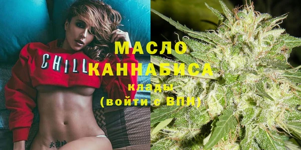 мдпв Елабуга