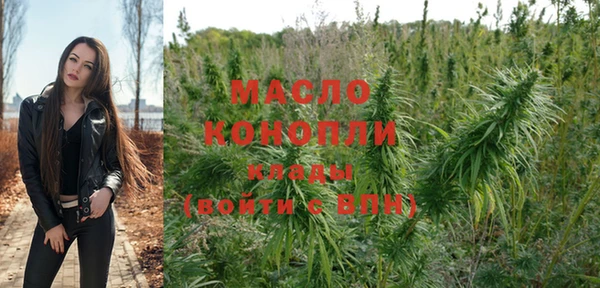 мдпв Елабуга