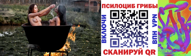 Купить закладки  Калуга  Галлюциногенные грибы GOLDEN TEACHER 